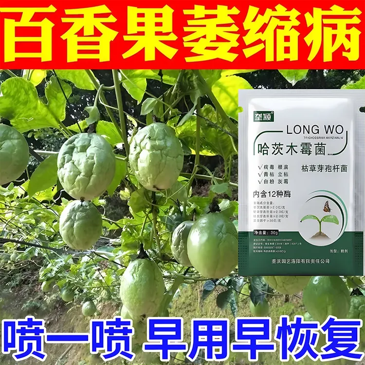 百香果萎缩病专用叶面肥沙皮溃疡腐烂黄叶卷叶小叶枯萎缩果病害清