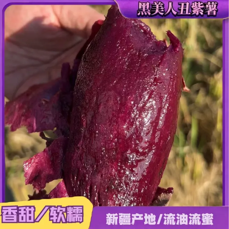 新疆高原黑美人丑紫薯流油流蜜甜糯粗粮糖心红薯烤地瓜产地直供