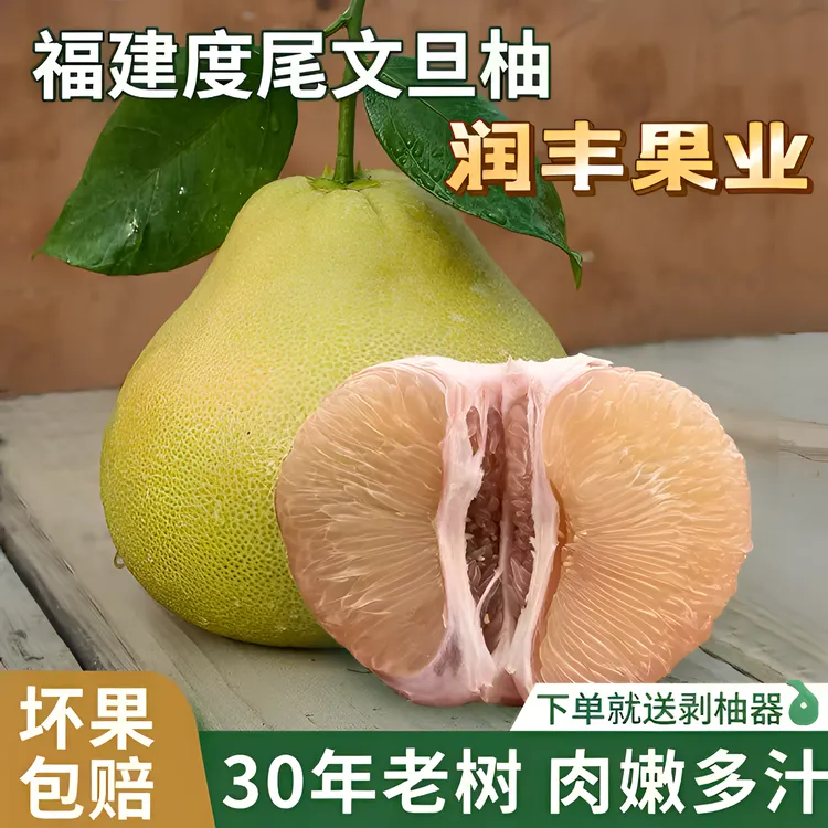 度尾正宗红心文旦柚新鲜应季甜份多汁新鲜采摘（精品无孔小果）