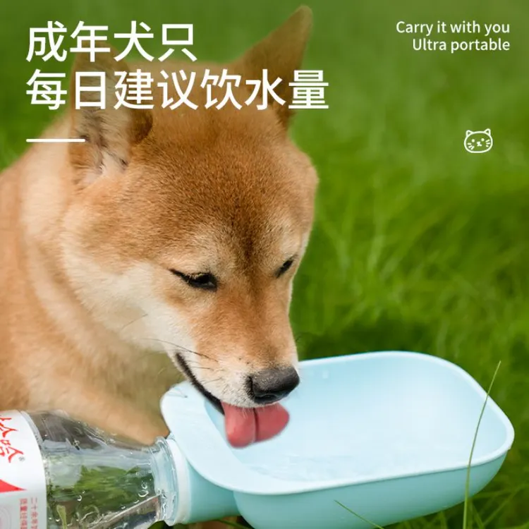 猫咪喂水器户外狗狗饮水碗便捷搭配矿泉水瓶狗碗宠物旅行必备用品
