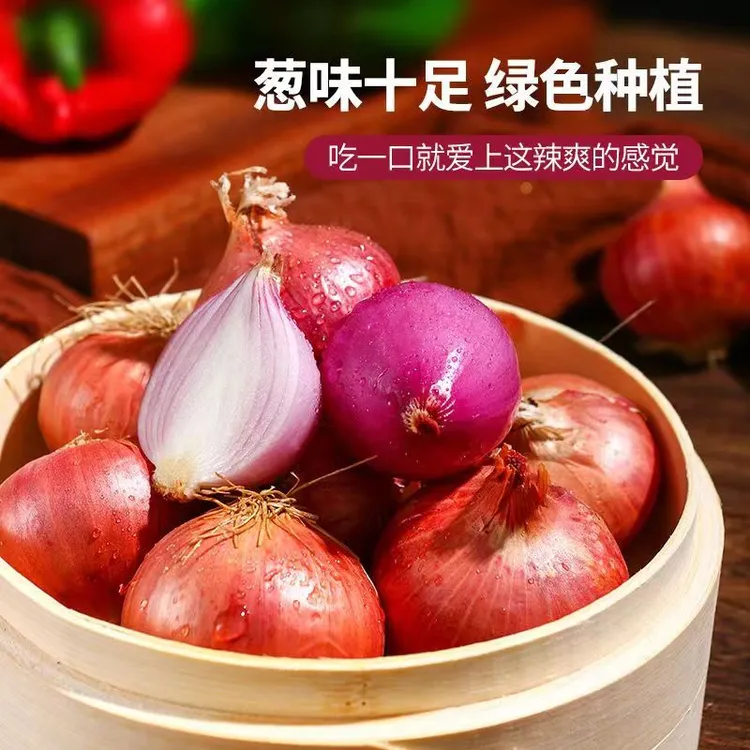  【C】小毛葱手工挑选5斤装新鲜皮薄多汁蘸酱够味