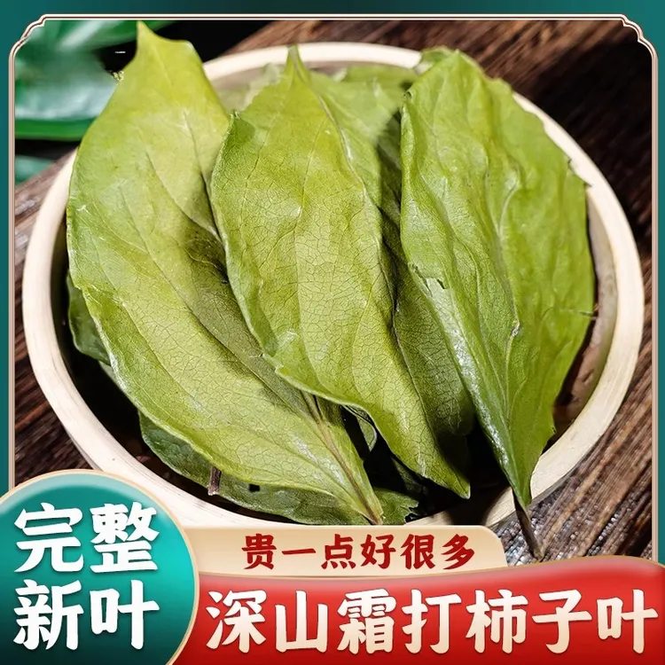 正宗柿子叶霜后柿子叶干柿子叶柿子叶茶新鲜大片柿子叶柿子叶粉