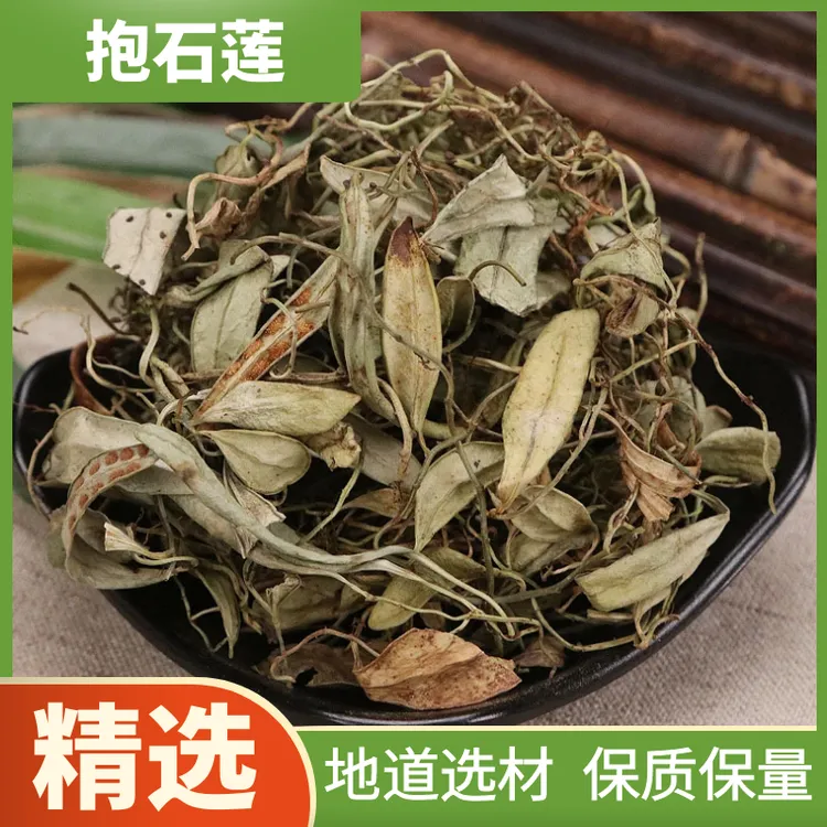 抱石莲野生抱石连 金龟藤 瓜子菜 瓜米菜新鲜晒干包邮另售益母草