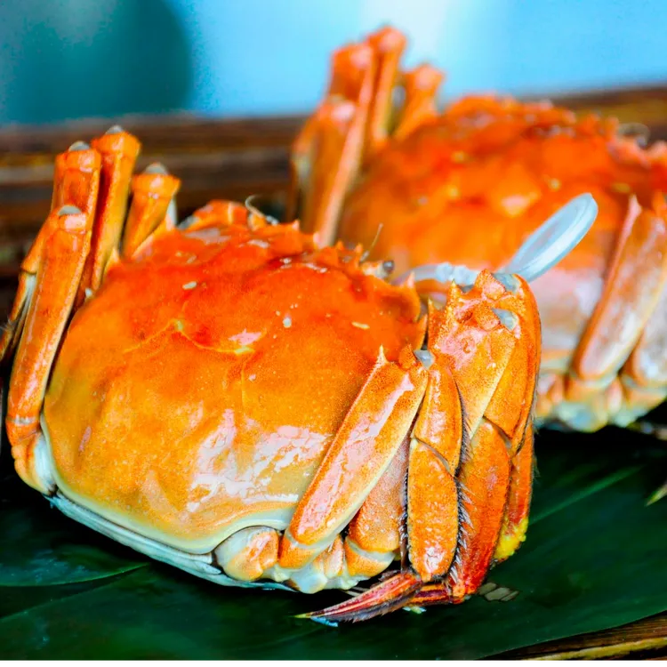 微山湖【活蟹】大闸蟹公蟹4两公 母蟹3两母 4+4到手8只顺丰冷链包邮