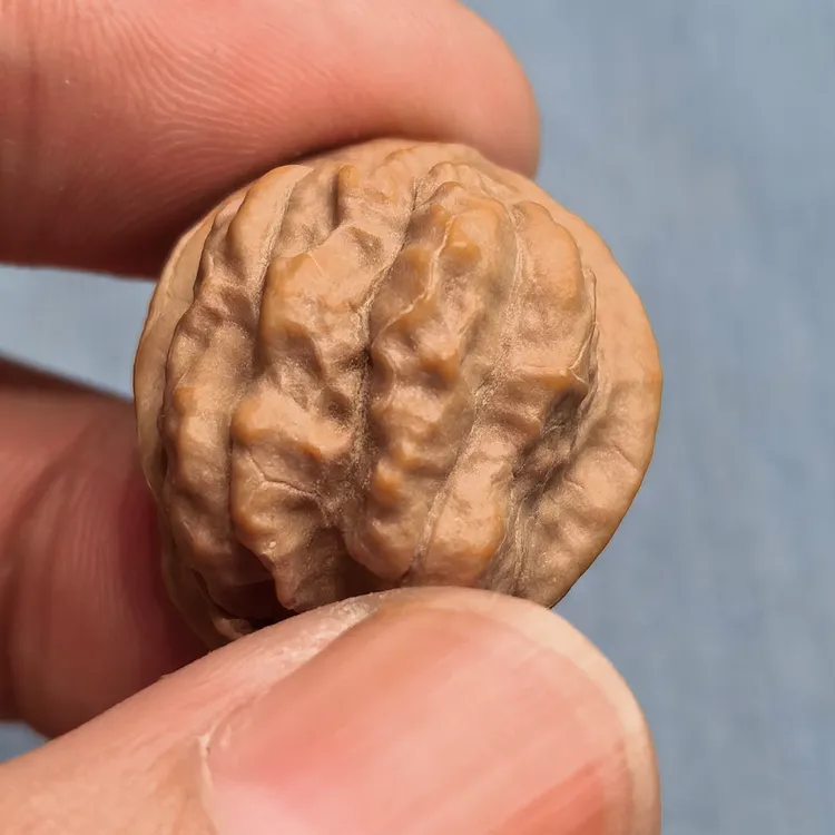 【核玩家-嵩山蛤蟆头】玻璃水晶皮质单颗，拍一发二（备注：打孔不退）