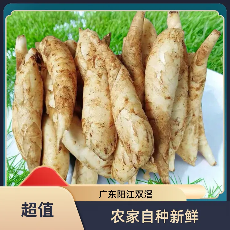 广东农家自种新鲜竹薯冬粉薯现挖可煲汤煎煮的食用（送香辣孜然粉）
