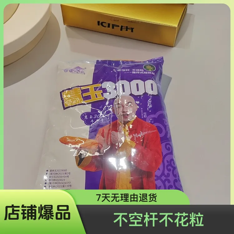 红轴大穗抗倒抗病高产玉米种慧玉3000玉米种