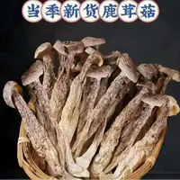 【阿飞专属】高山甄选鹿茸菇干货无硫熏可煲汤炒菜的农家特产菌菇