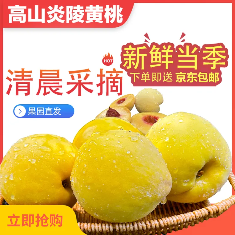 京东包邮新鲜现摘现发甜高山炎陵锦绣黄桃A级水果大果