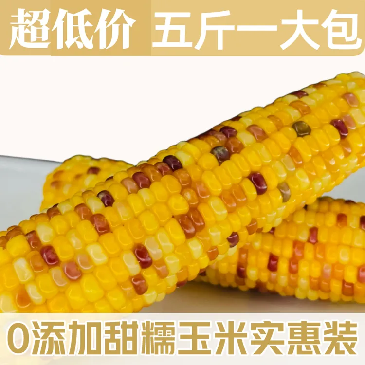 [顺丰/京东]5斤散装0添加0防腐生态种植五彩甜糯玉米实惠装玉米棒