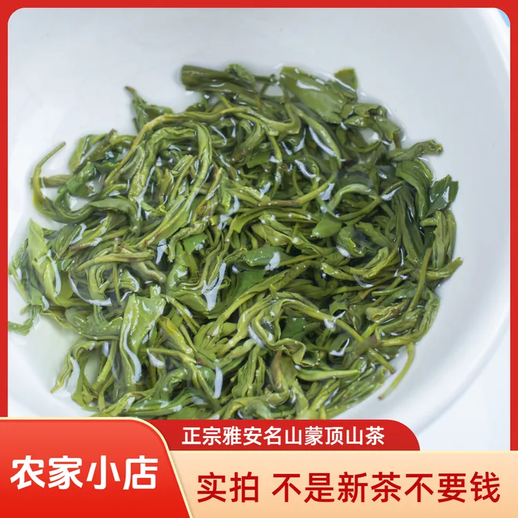 炒青碧螺春雅安蒙顶毛峰绿茶雨前口粮茶过瘾回甘耐泡四川茶叶浓香