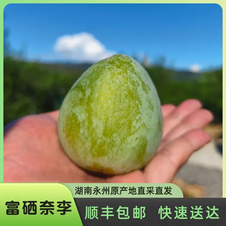 【顺丰包邮】湖南永州脱骨冰糖奈李瑶山正宗富硒奈李