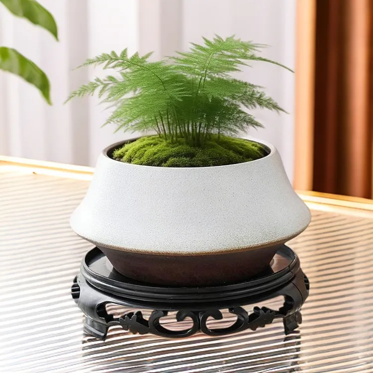 苔藓球花盆文竹无孔水样陶瓷创意家用紫砂中式禅意办公室摆件盆景