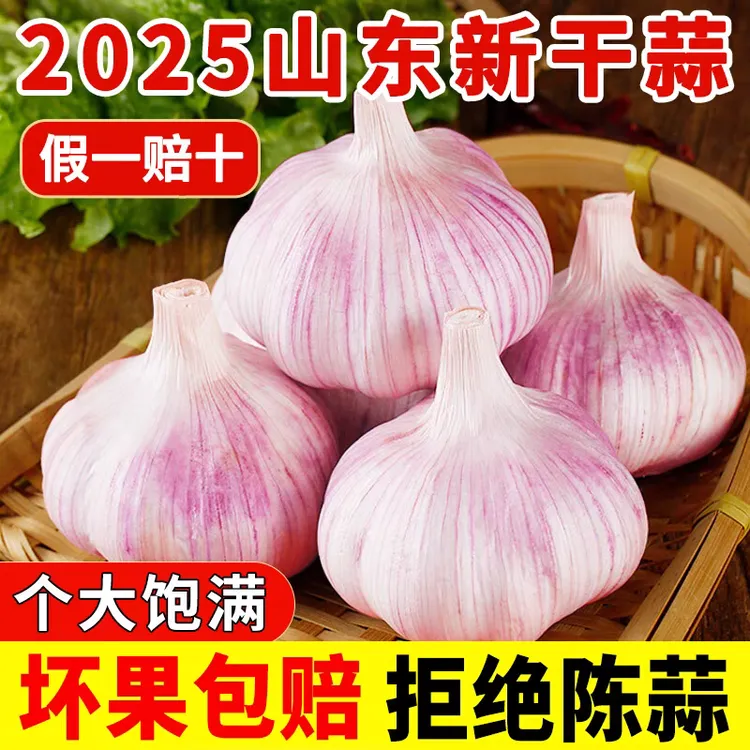 【山东干蒜】正宗紫皮大蒜新鲜干蒜香辣可口适合腌制
