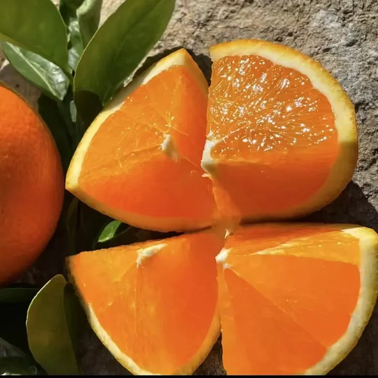 【纽荷尔】正宗湖北纽荷尔脐橙.现摘现发5-10斤装