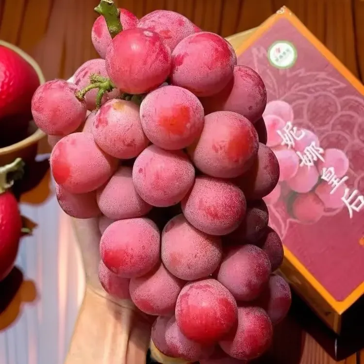 日本品种妮娜皇后葡萄新鲜水果礼盒红宝石女王无籽提子顺丰空运