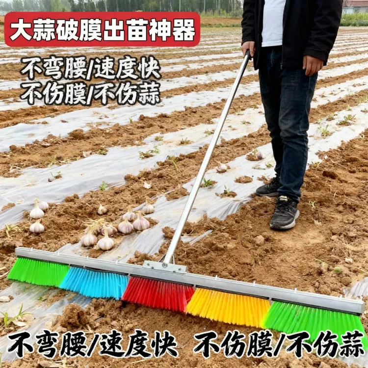 大蒜手动破膜器推芽神器推芽出苗刷大蒜出苗神器大蒜出芽器破膜器