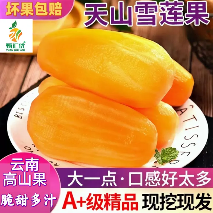 甄汇优 d云南黄心天山雪莲果皮薄肉厚清甜多汁细嫩化渣坏果包赔