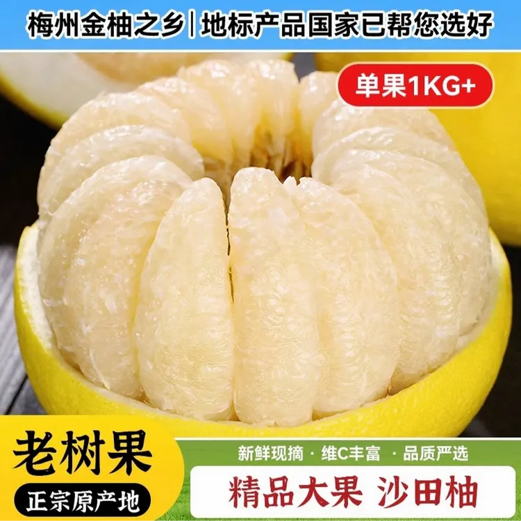 正宗梅州沙田柚纯甜无酸蜜味香甜籽大籽多脆嫩多汁
