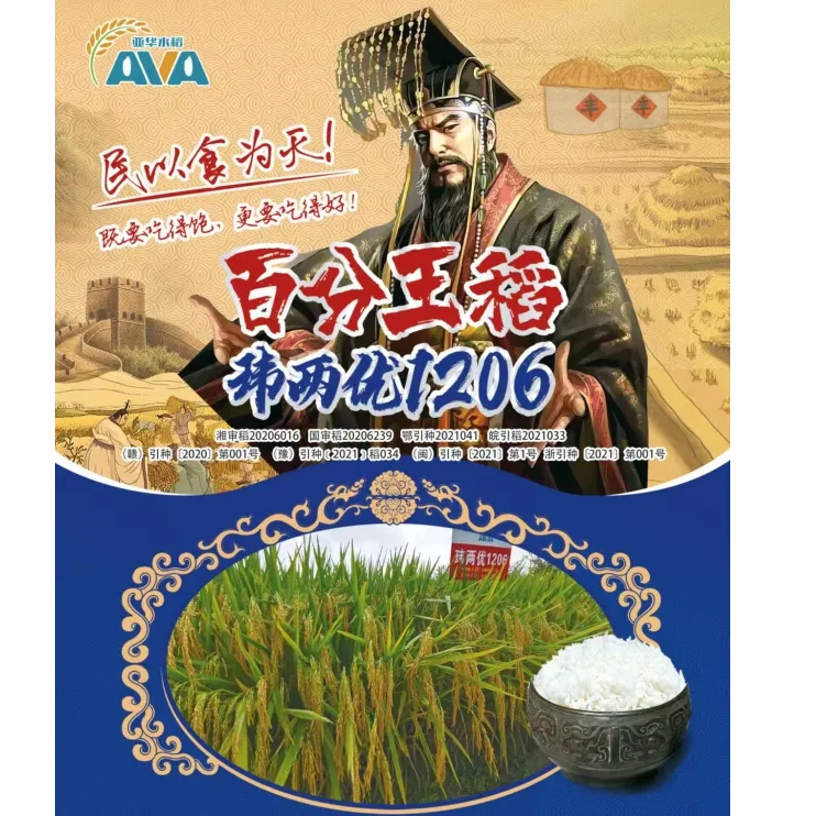 国审玮两优1206杂交水稻种子长粒杂交水稻种高产抗病抗倒能力强