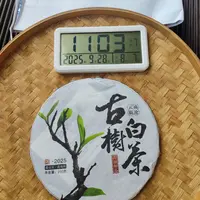 【693号】2025年大户赛古树白茶 春 紧压茶白茶 200克 9月28