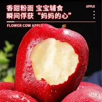 甘肃天水花牛苹果当季新鲜水果脆粉两吃整箱包邮