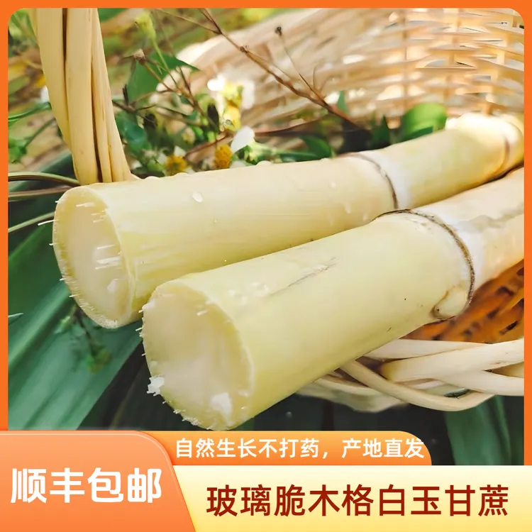 【顺丰中通专线】广西正宗木格白玉甘蔗玻璃脆甘蔗好咬好撕皮