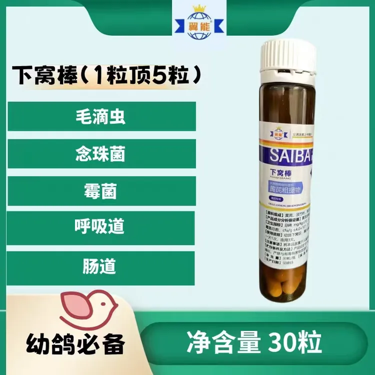 下窝棒下窝必备五效合一鸽子