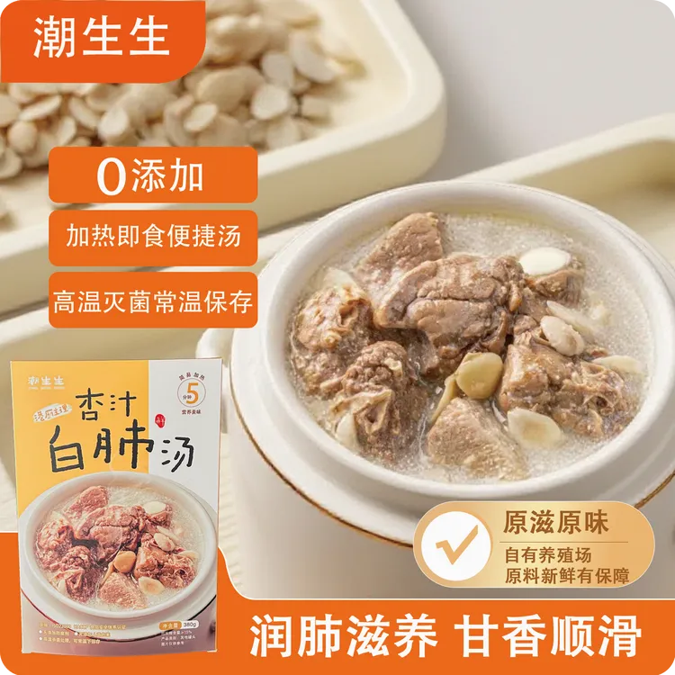 广式炖汤滋养润肺杏汁白肺汤加热即食原汁原味无添加营养汤
