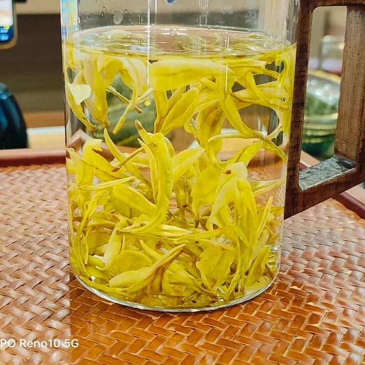 春季新茶安吉芽芽叶肥厚汤色透亮浓香耐泡口感好