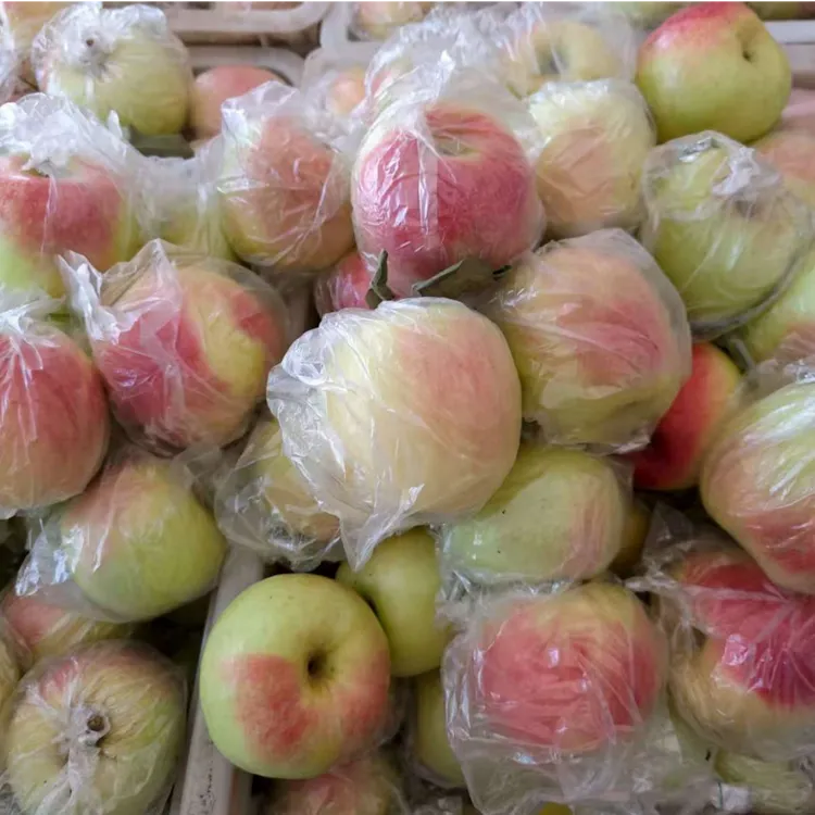 【大头果蔬】山东华硕新苹果（现摘现发，产地直发）