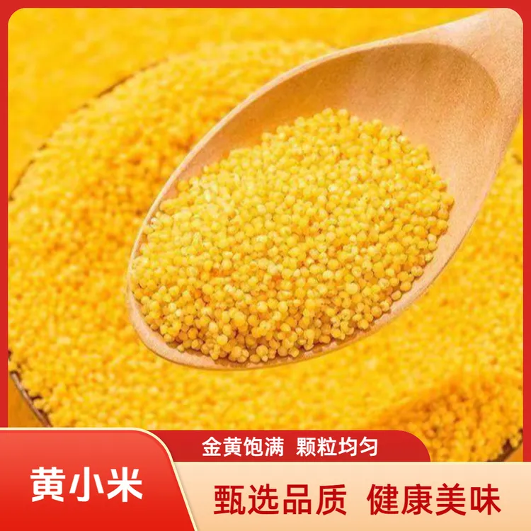 黄小米 甄选品质健康营养美味可口可熬小米粥五谷杂粮D