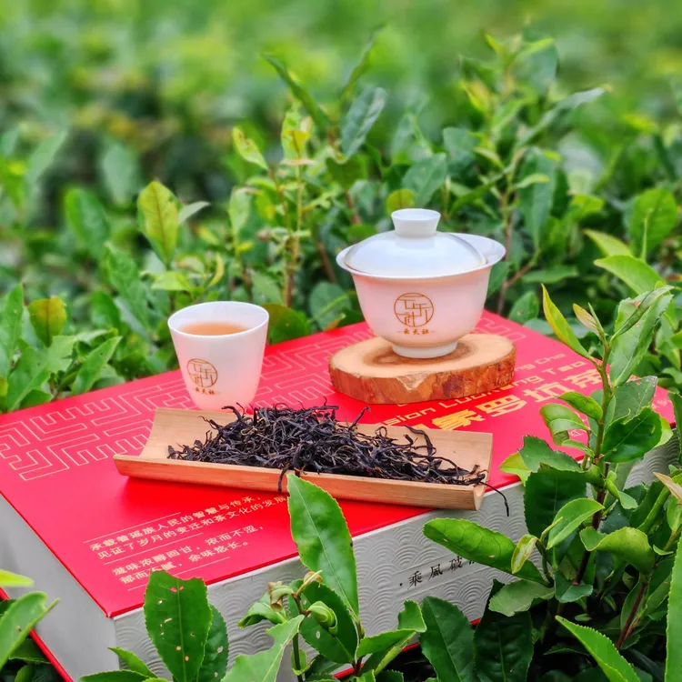 罗坑古树乔木红茶杏仁香瑶族技艺高品质可送礼礼盒装