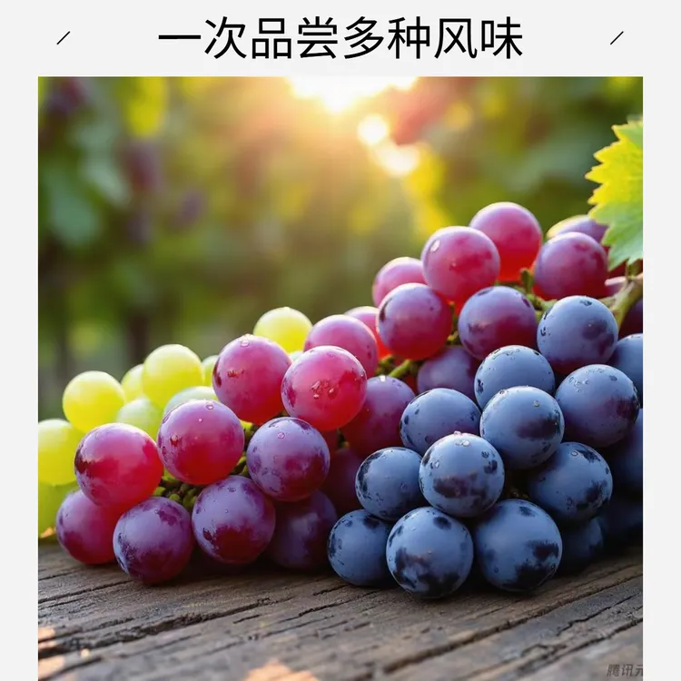 【混装版】浪漫红颜，阳光玫瑰，甬优等在售葡萄混装 果园现采直发