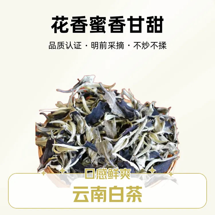 月光携带云南白茶方便袋装热卖鲜爽口感花香蜜香甘甜品质采摘方便