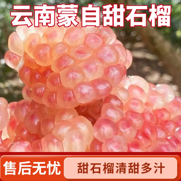 云南蒙自绿籽老品种甜石榴清甜多汁硬籽老树石榴石榴直播