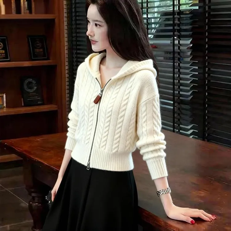 2025秋冬新款拉链针织连帽衫女轻熟纯色时尚减龄慵懒风毛衣开衫女