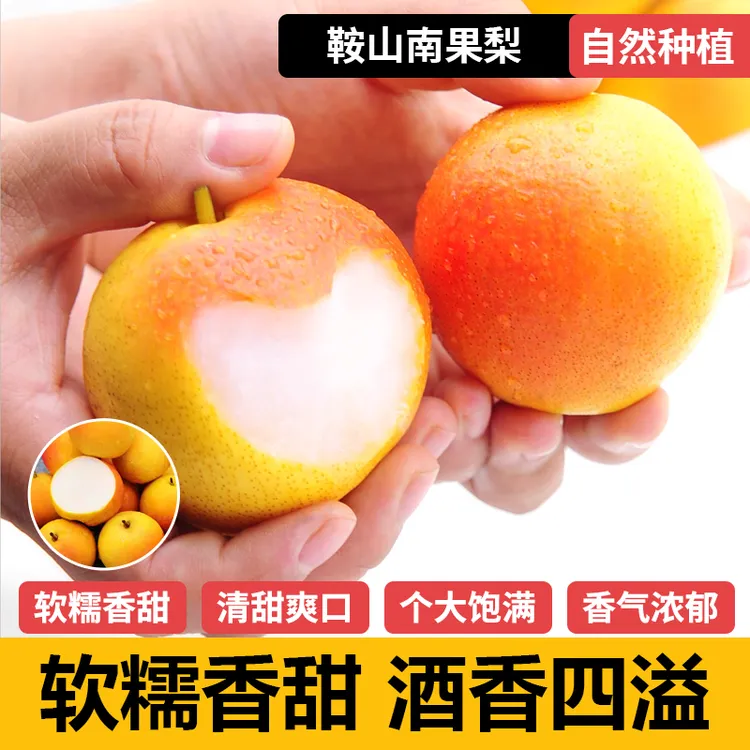辽宁鞍山果园现摘新鲜梨南果梨酸甜多汁口感爽脆自然成熟东北特产