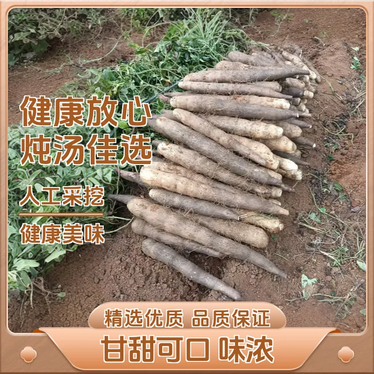 淮山正宗铁棍现挖产地直发香软糯白玉直发铁棍山药热卖榜第一名