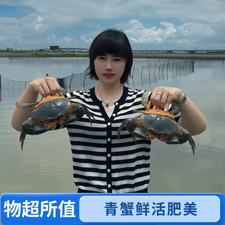 正宗三门青蟹中秋豪华礼盒6只装大肉蟹