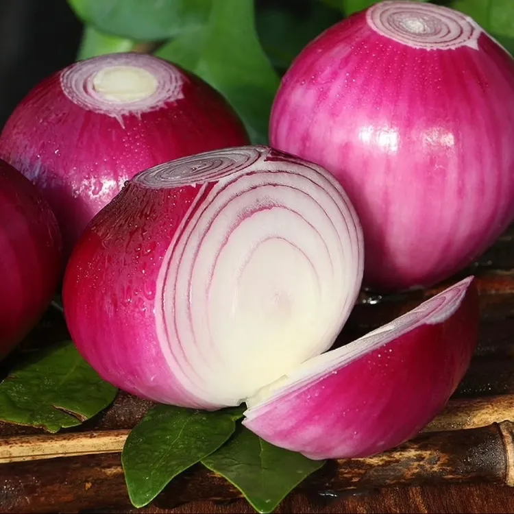 【水果洋葱】2025年新鲜紫皮扁洋葱当季紫皮水果洋葱甜脆多汁