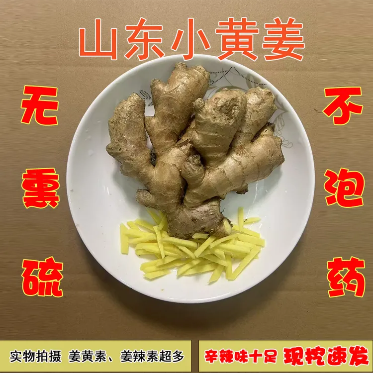 山东小黄姜产地直供现挖现发烹饪辣味十足无熏硫无泡药生姜姜黄素