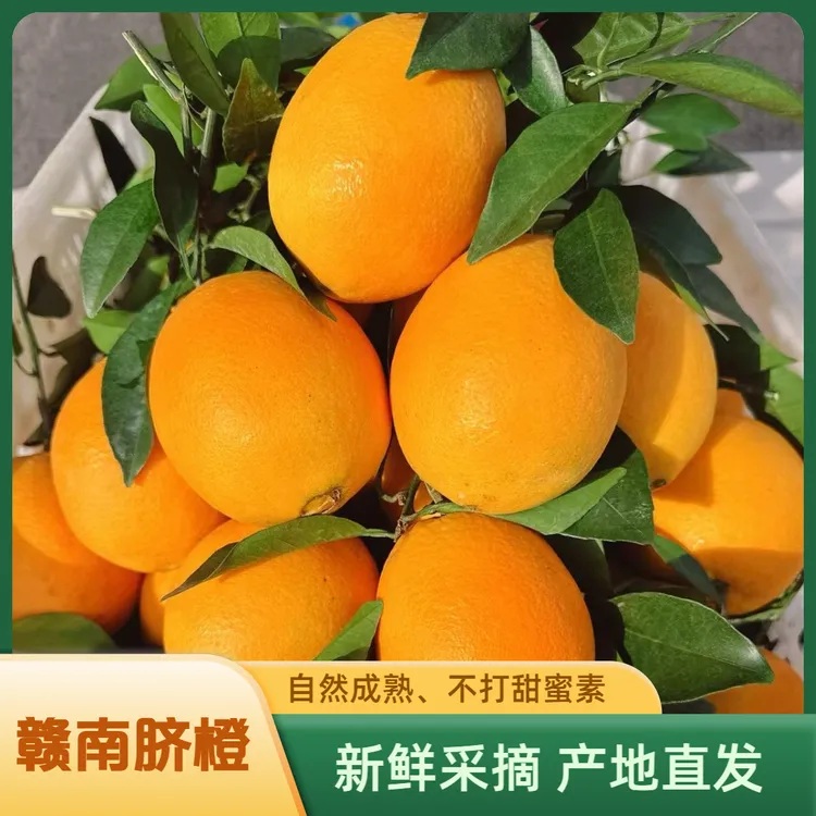 赣南脐橙精品果产地直发新鲜现摘孕妇水果