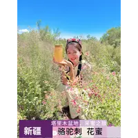 新疆骆驼刺花蜜（原蜜）