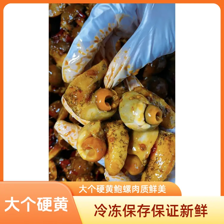 大个80%以上硬黄鲍螺500g/袋 顺丰