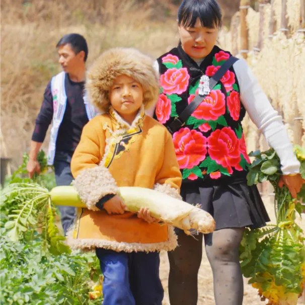 农家特产萝卜干2025新货脆嫩云南楚雄高原农家日晒萝卜条萝卜干