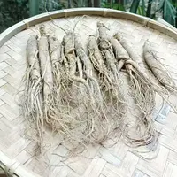 1【鲜-人-参】净含量：4颗-16颗【阿忠现收现卖】