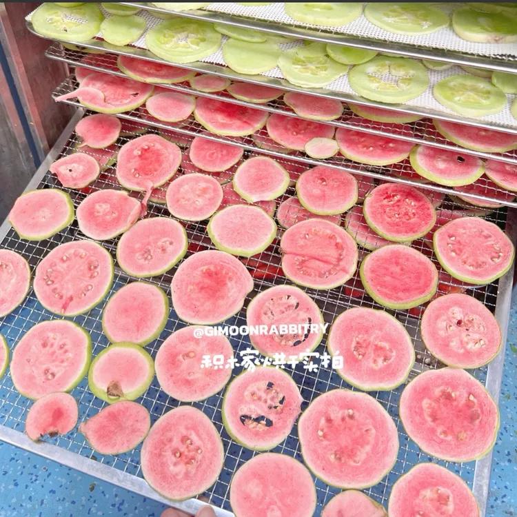 积木家兔子零食水果干天然凤梨木瓜酵素荷兰猪龙猫互动宠物零食