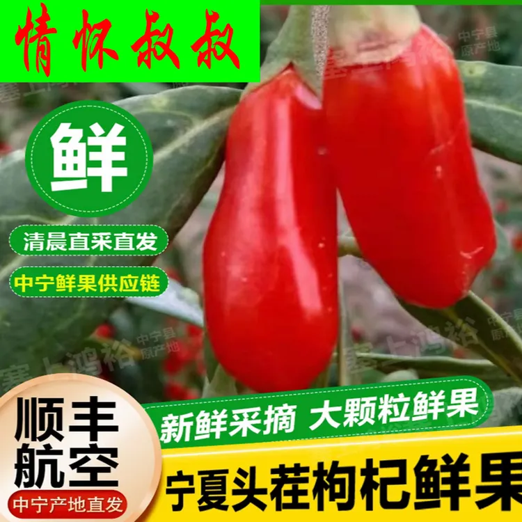 宁夏2025年头茬鲜枸杞