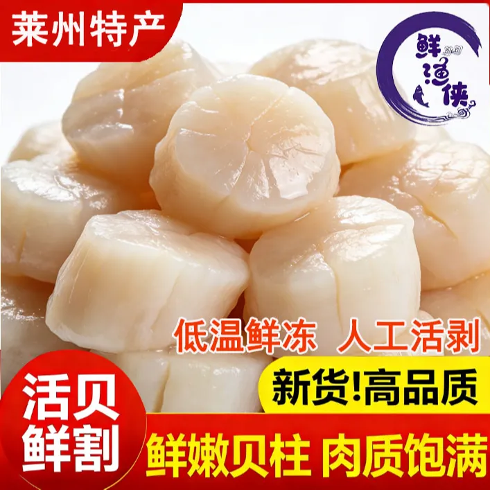 鲜渔侠鲜食120头左右扇贝丁